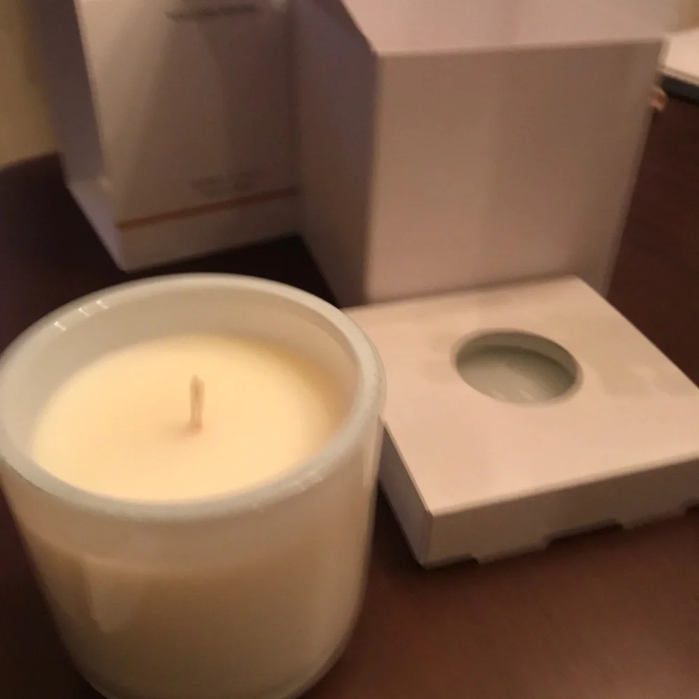 Williams Sonoma Citrus & Safe Scented Candle